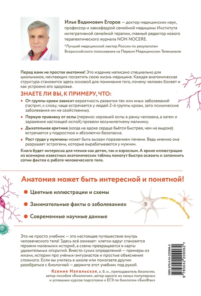 Anatomija skolēniem. Palīdzība ķīmijas un bioloģijas klašu skolēniem un dabaszinātņu virzienu studentiem