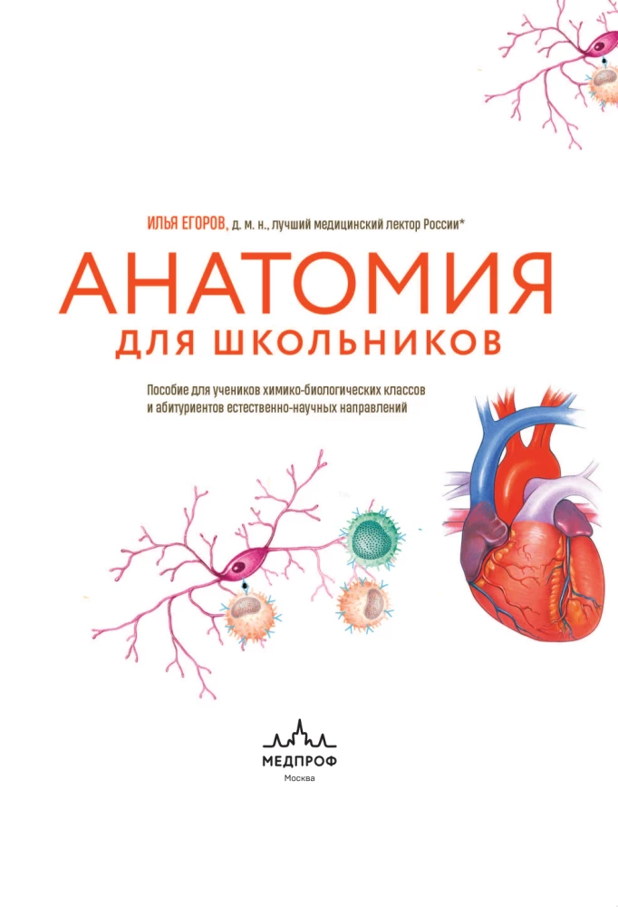 Anatomija skolēniem. Palīdzība ķīmijas un bioloģijas klašu skolēniem un dabaszinātņu virzienu studentiem