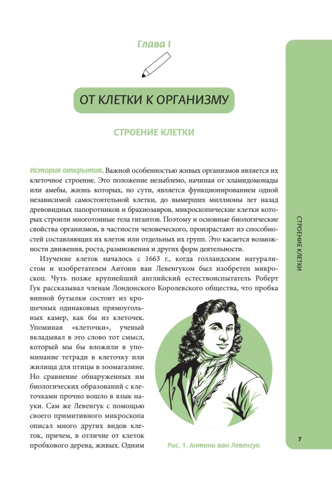 Anatomija skolēniem. Palīdzība ķīmijas un bioloģijas klašu skolēniem un dabaszinātņu virzienu studentiem