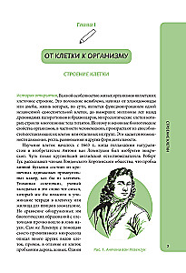 Anatomija skolēniem. Palīdzība ķīmijas un bioloģijas klašu skolēniem un dabaszinātņu virzienu studentiem
