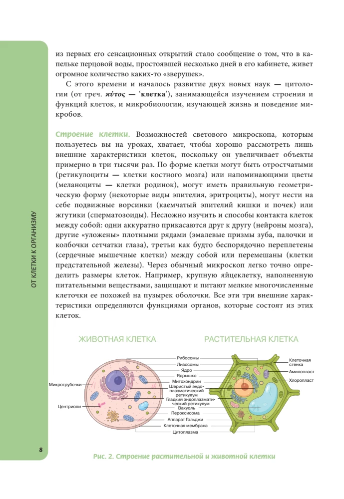Anatomija skolēniem. Palīdzība ķīmijas un bioloģijas klašu skolēniem un dabaszinātņu virzienu studentiem