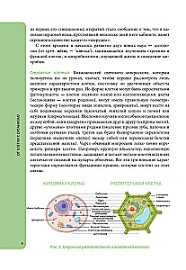 Anatomija skolēniem. Palīdzība ķīmijas un bioloģijas klašu skolēniem un dabaszinātņu virzienu studentiem