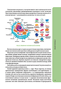 Anatomija skolēniem. Palīdzība ķīmijas un bioloģijas klašu skolēniem un dabaszinātņu virzienu studentiem
