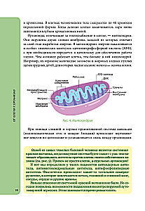 Anatomija skolēniem. Palīdzība ķīmijas un bioloģijas klašu skolēniem un dabaszinātņu virzienu studentiem