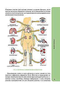 Anatomija skolēniem. Palīdzība ķīmijas un bioloģijas klašu skolēniem un dabaszinātņu virzienu studentiem