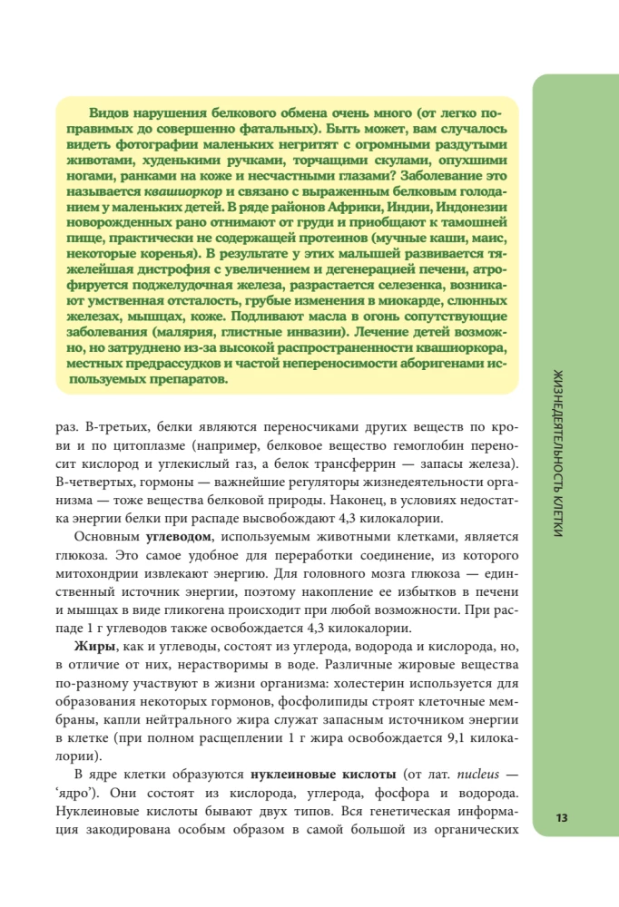 Anatomija skolēniem. Palīdzība ķīmijas un bioloģijas klašu skolēniem un dabaszinātņu virzienu studentiem