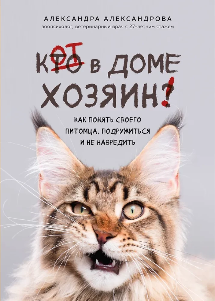 Кот в доме хозяин! Как понять своего питомца, подружиться и не навредить