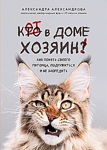Кот в доме хозяин! Как понять своего питомца, подружиться и не навредить