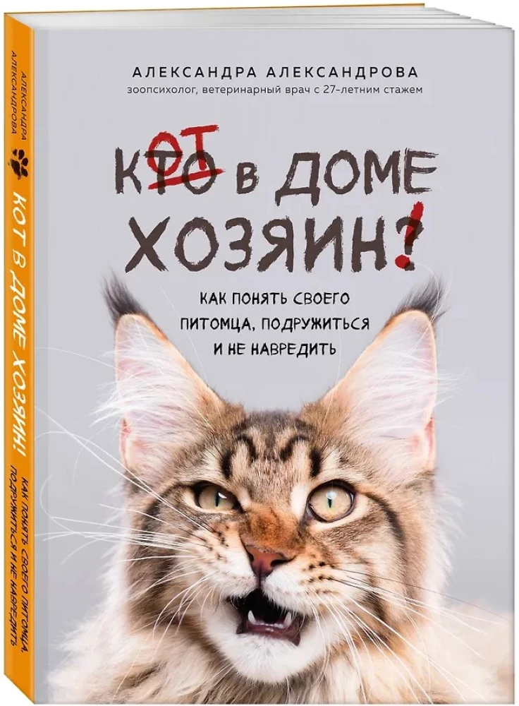 Кот в доме хозяин! Как понять своего питомца, подружиться и не навредить