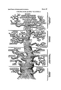 Fitopolis. Dzīves pilsēta