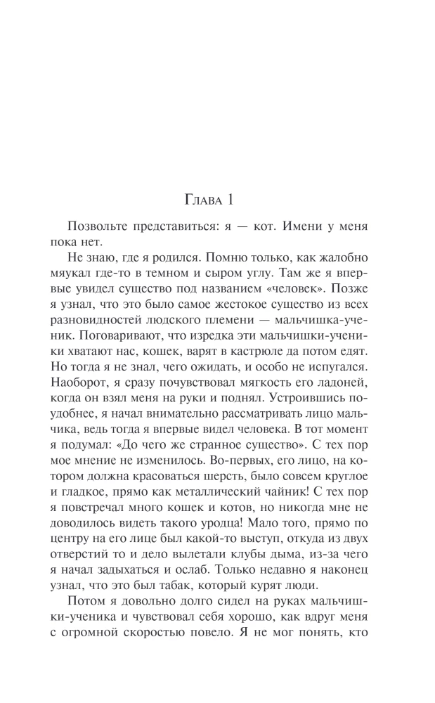 My Humble Servant Cat