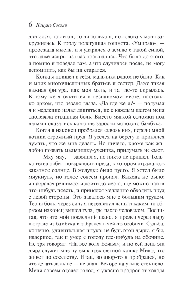 My Humble Servant Cat