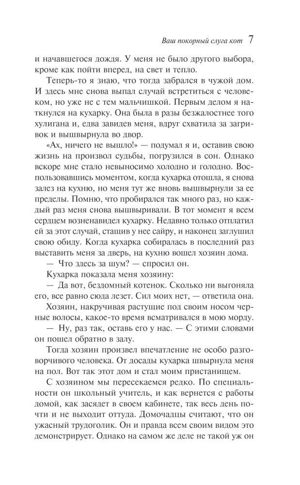 My Humble Servant Cat