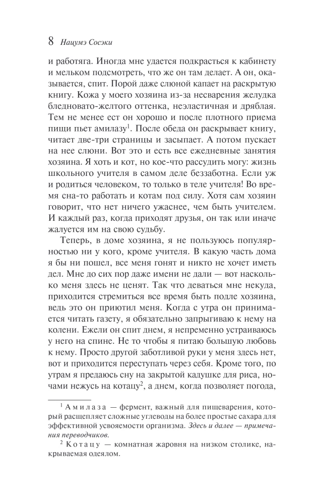 My Humble Servant Cat