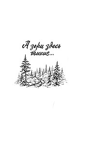 The dawns here are quiet...