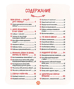 Me and My Dog. How to Understand Your Pet and Become Its Friend