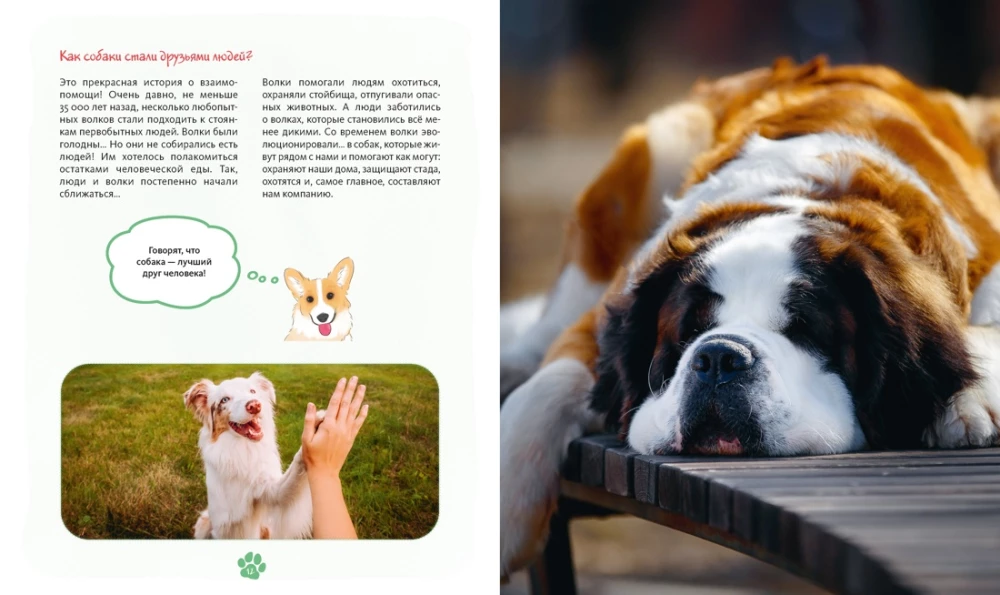 Me and My Dog. How to Understand Your Pet and Become Its Friend