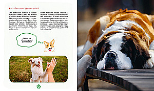 Me and My Dog. How to Understand Your Pet and Become Its Friend