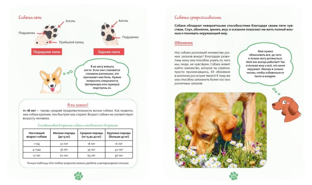 Me and My Dog. How to Understand Your Pet and Become Its Friend