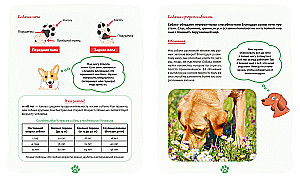 Me and My Dog. How to Understand Your Pet and Become Its Friend