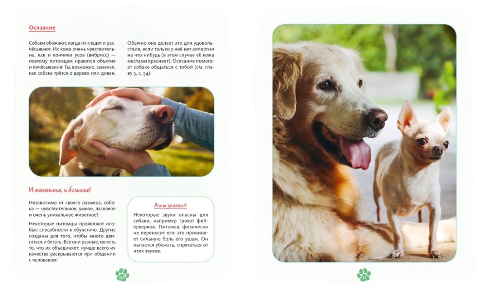 Me and My Dog. How to Understand Your Pet and Become Its Friend