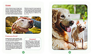 Me and My Dog. How to Understand Your Pet and Become Its Friend