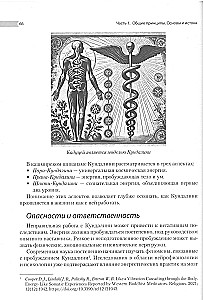 Encyclopedia of Chakras. Practices for Psychologists, Experts, and Spiritual Seekers