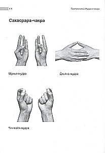 Encyclopedia of Chakras. Practices for Psychologists, Experts, and Spiritual Seekers