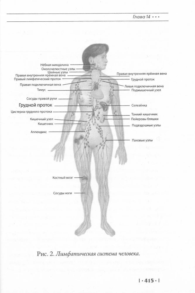 Encyclopedia of Himalayan Siddha Yoga. Part II. Meditation. The Path of Silence