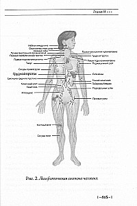 Encyclopedia of Himalayan Siddha Yoga. Part II. Meditation. The Path of Silence