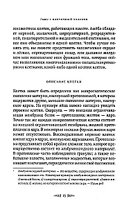 Secrets of Birth, Love, and Death. Occultism for Beginners