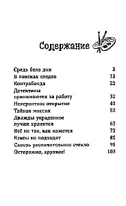 Конни и украденная картина