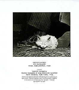 Большая книга кошек