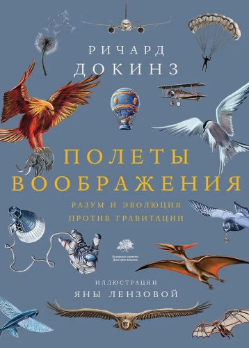 Flights of Imagination