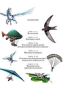 Iedomu lidojumi