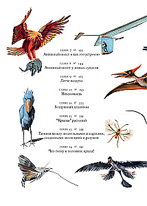 Iedomu lidojumi