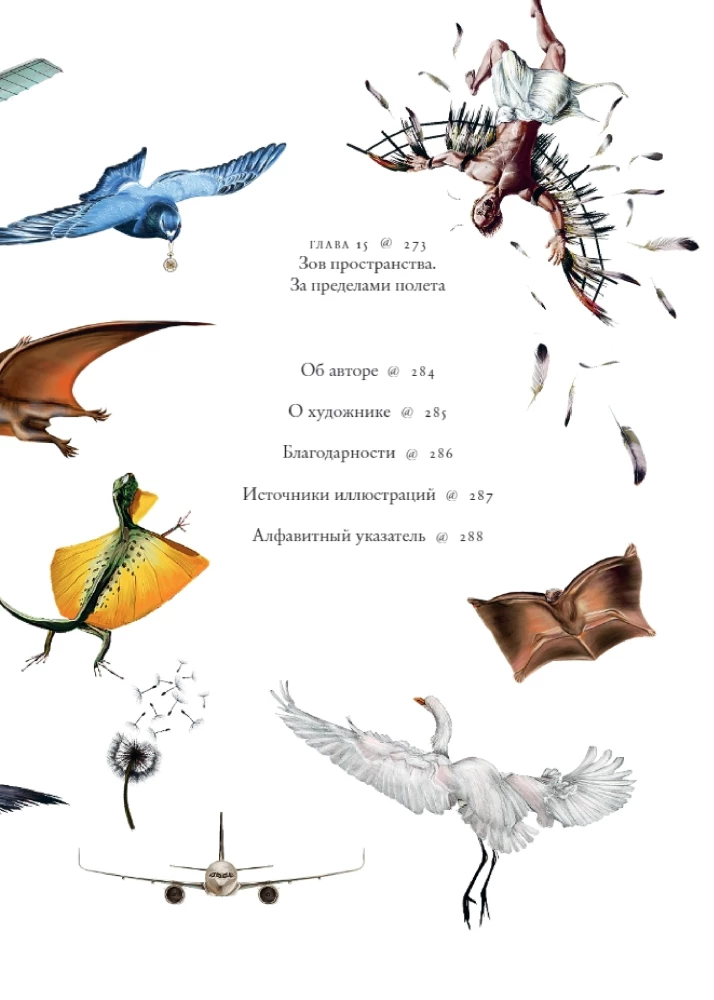Iedomu lidojumi
