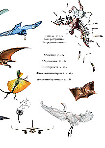 Iedomu lidojumi