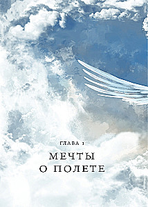 Iedomu lidojumi