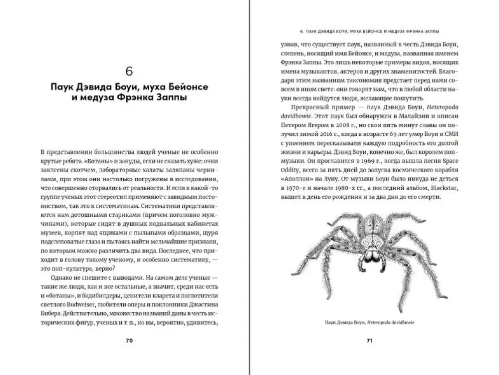 The Charles Darwinspider and David Bowie Spider: How Scientific Names Celebrate Heroes, Adventurers, and Villains
