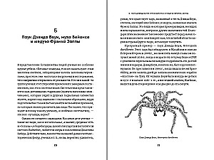The Charles Darwinspider and David Bowie Spider: How Scientific Names Celebrate Heroes, Adventurers, and Villains