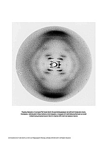 Атлас невидимого. Мир, каким мы его не знали