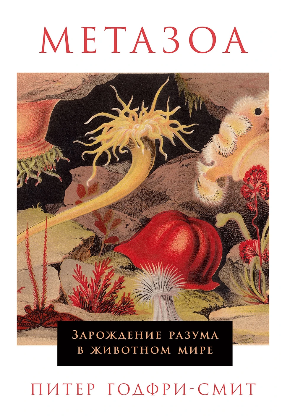 Metazoa. The Birth of Mind in the Animal World