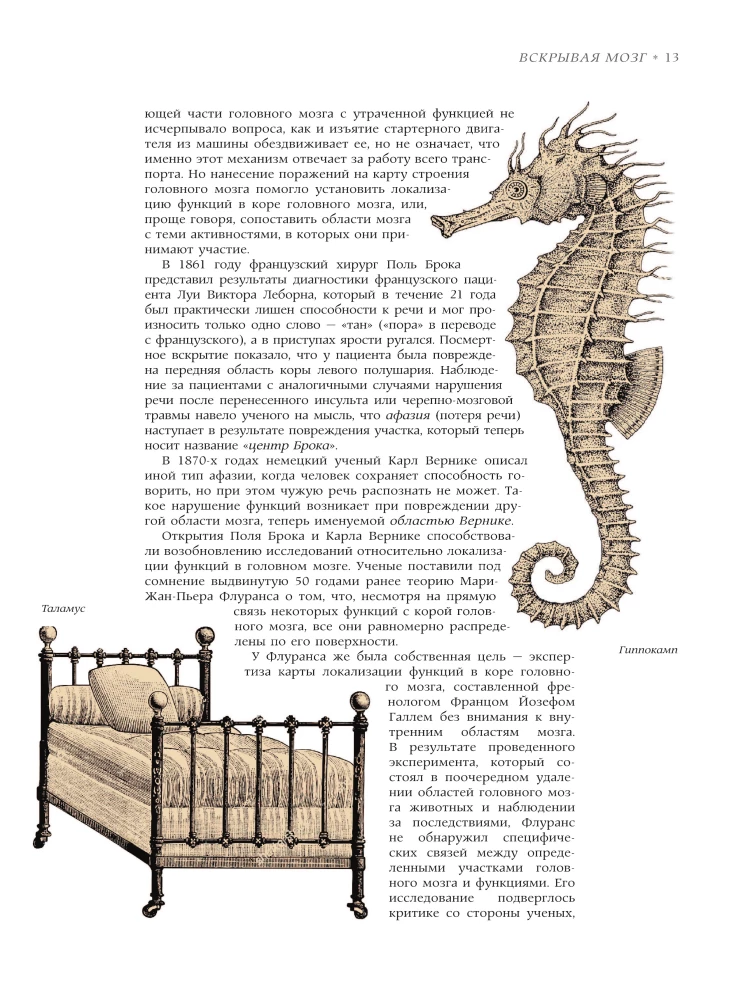 Smegenys. Didžioji enciklopedija