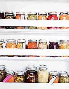 Natural Fermentation. Original Author's Recipes for Fermenting 64 Vegetables and Fruits