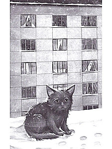 Happiness Behind the Door