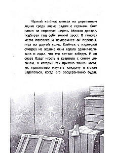 Happiness Behind the Door