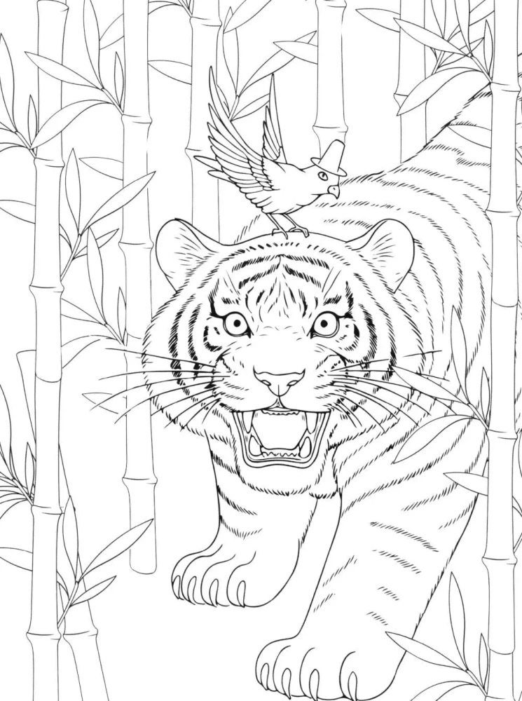 Magic of Korea: Coloring Book