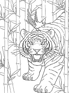 Magic of Korea: Coloring Book