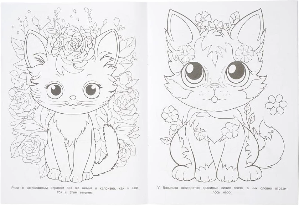 Lovely Kittens